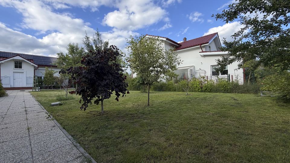Zahrada a okolí