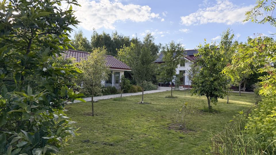 Zahrada a okolí